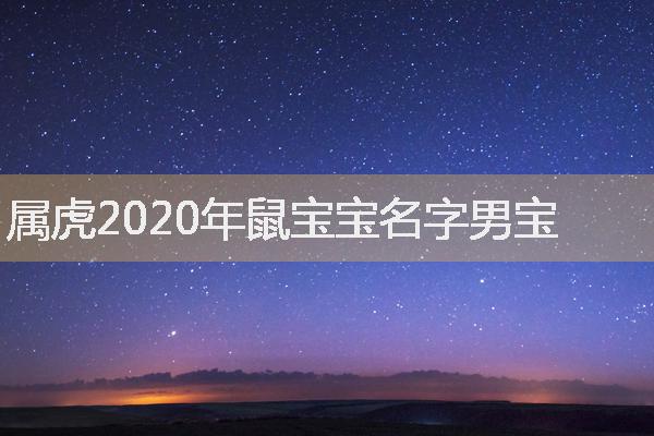 2020年鼠宝宝名字男宝